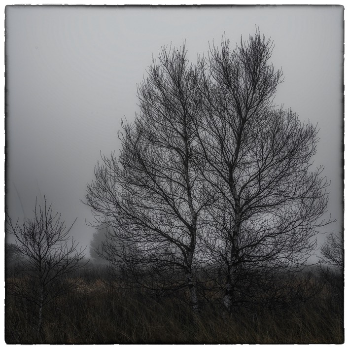 Stacks Image 45