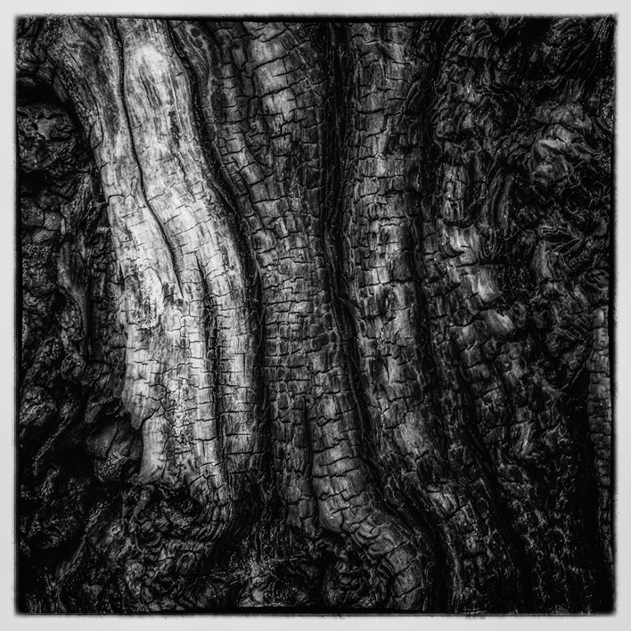 Stacks Image 118